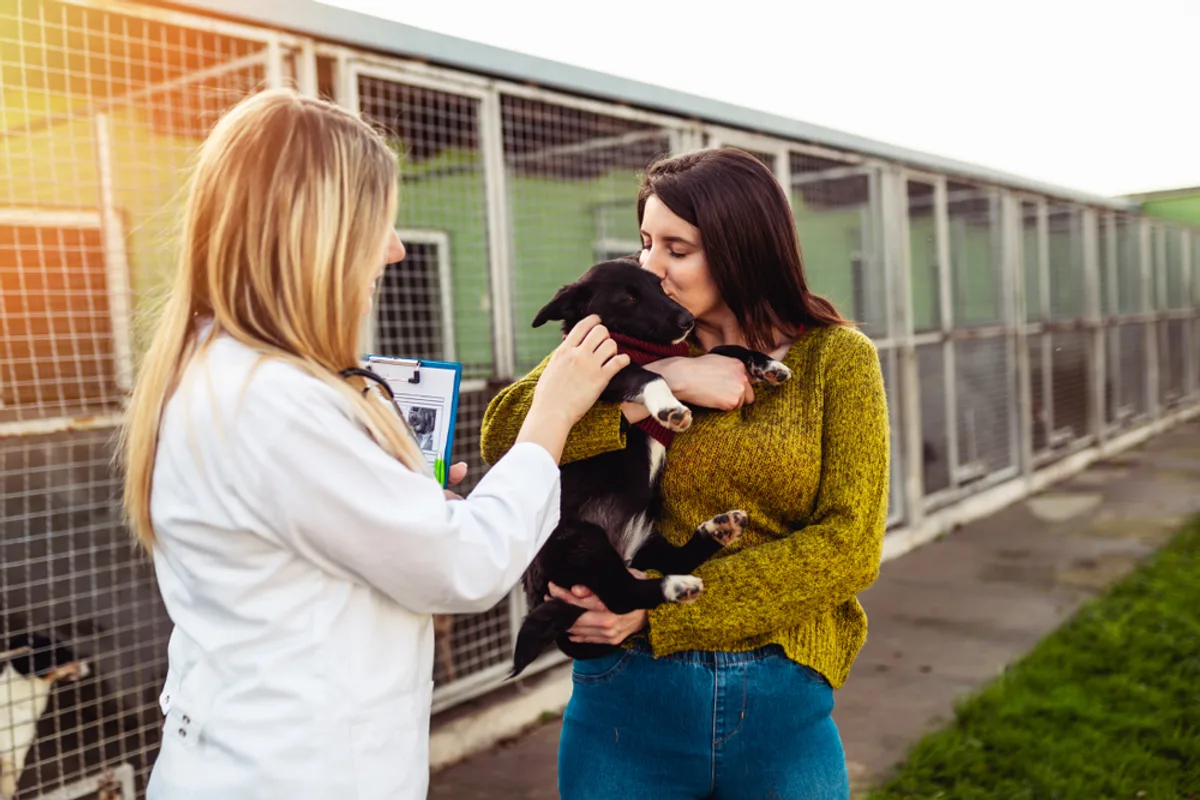 The Village Suites Partners with Rescued Pets Movement for Holiday Charity Drive